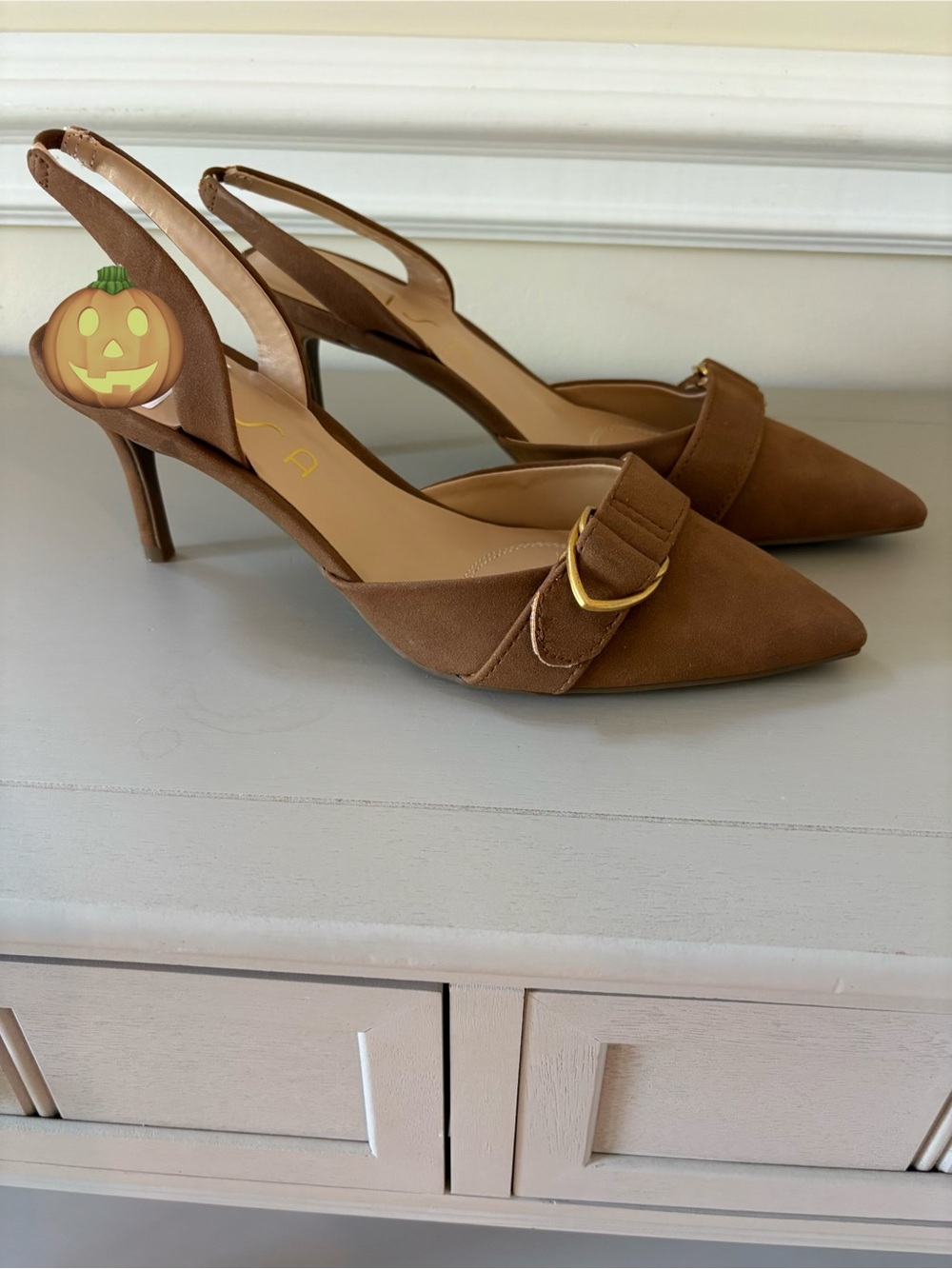 Unisa Brown Pointed-Toe Slingback Heels with Gold Buckle